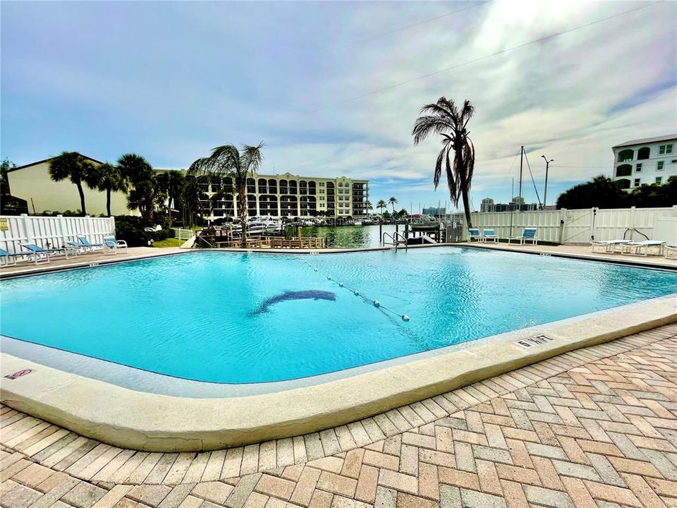 Pool area on Inter Coastal waterway