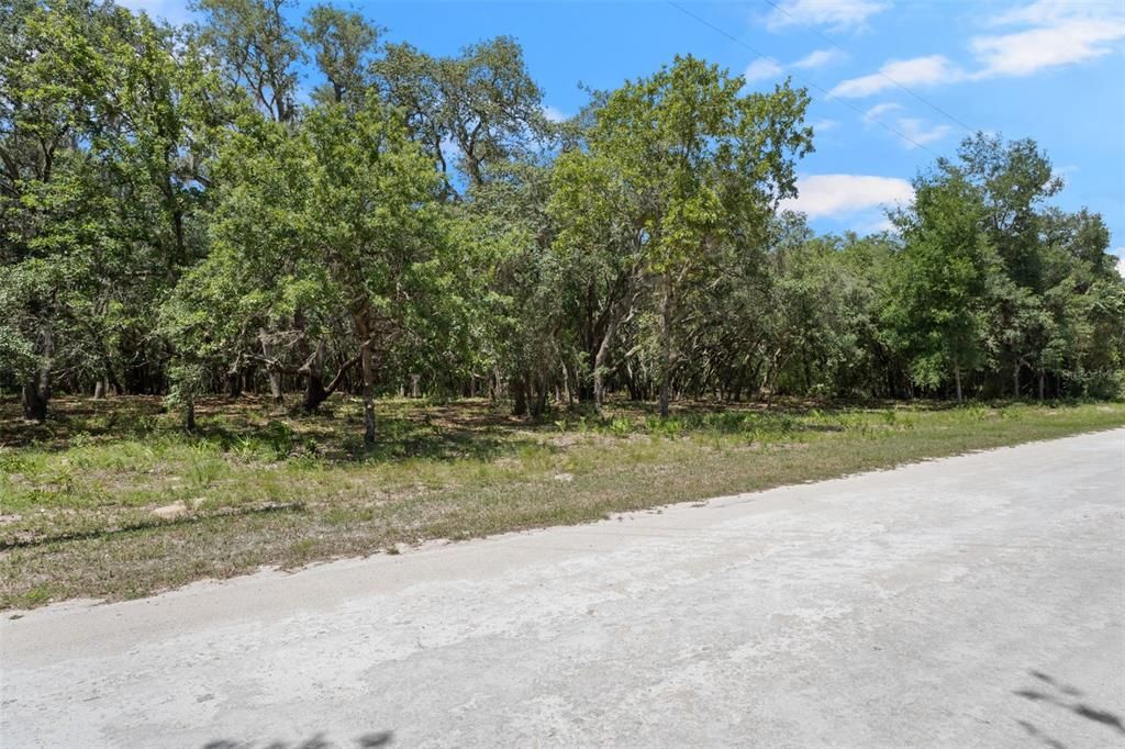 Active With Contract: $45,000 (1.16 acres)