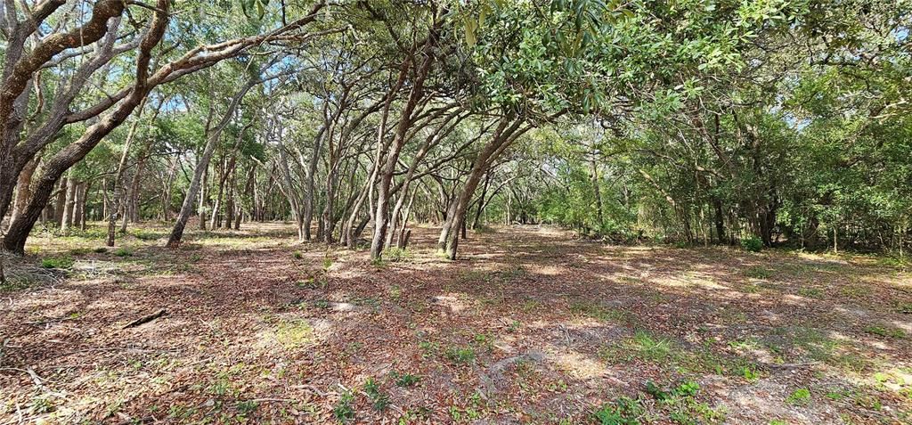 Active With Contract: $45,000 (1.16 acres)