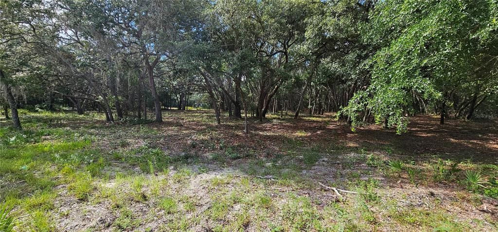 Active With Contract: $45,000 (1.16 acres)