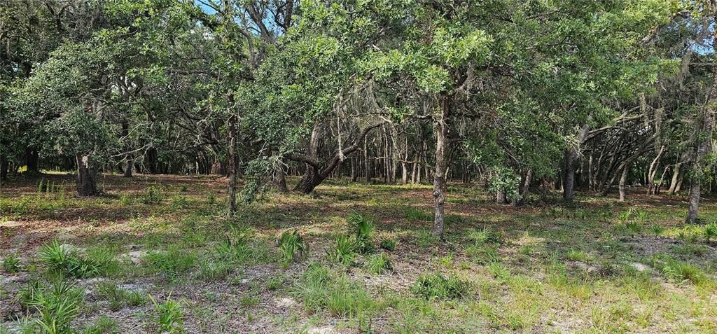 Active With Contract: $45,000 (1.16 acres)