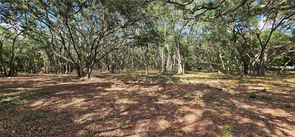 Active With Contract: $45,000 (1.16 acres)