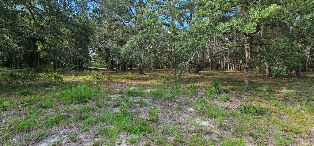 Active With Contract: $45,000 (1.16 acres)