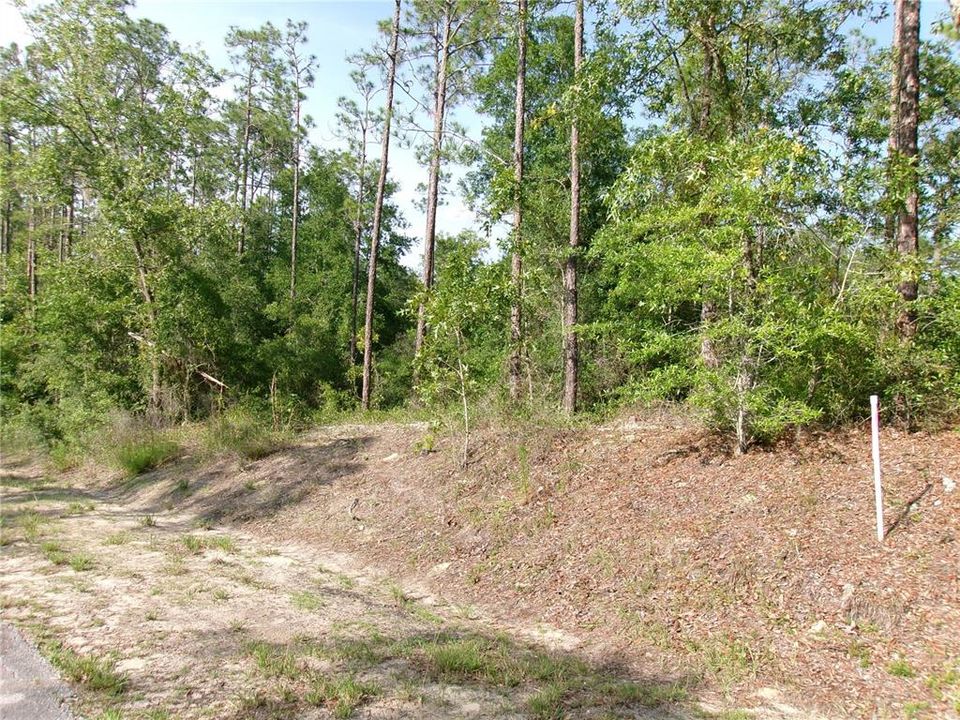 near the top of the hill, pvc pipe is near the south west corner of lot 28