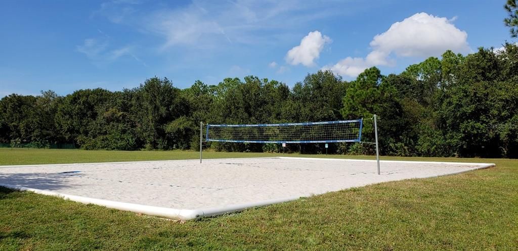 Volley ball court