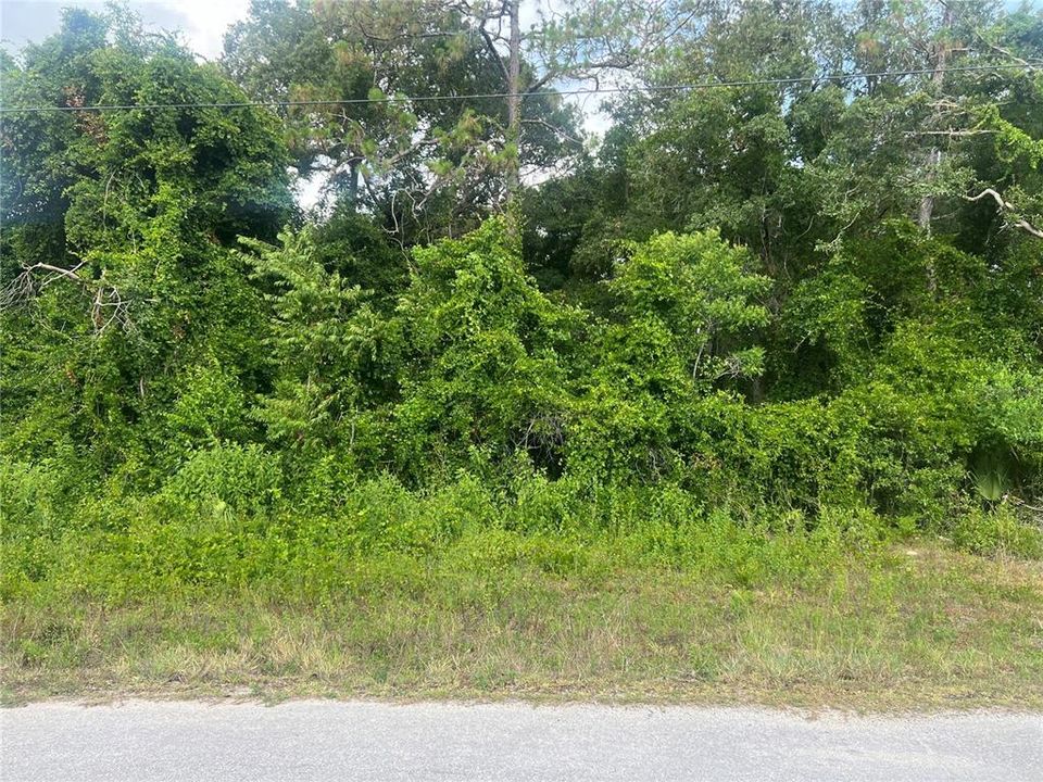 En Venta: $18,500 (0.24 acres)