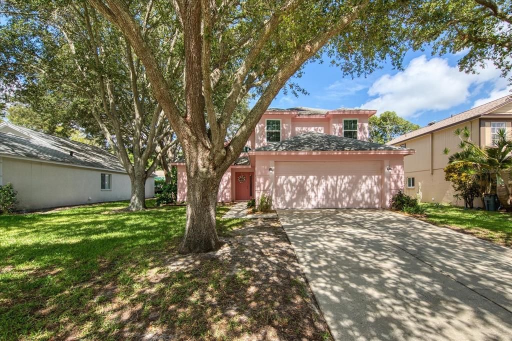 Shade trees help keep the house cool~