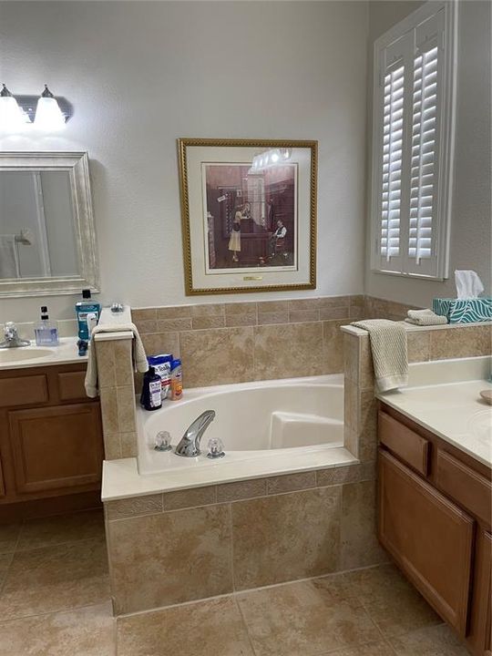 Master Bathroom Soaker Tub