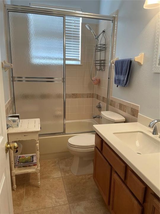 Hall Bath Tub and Shower Combination