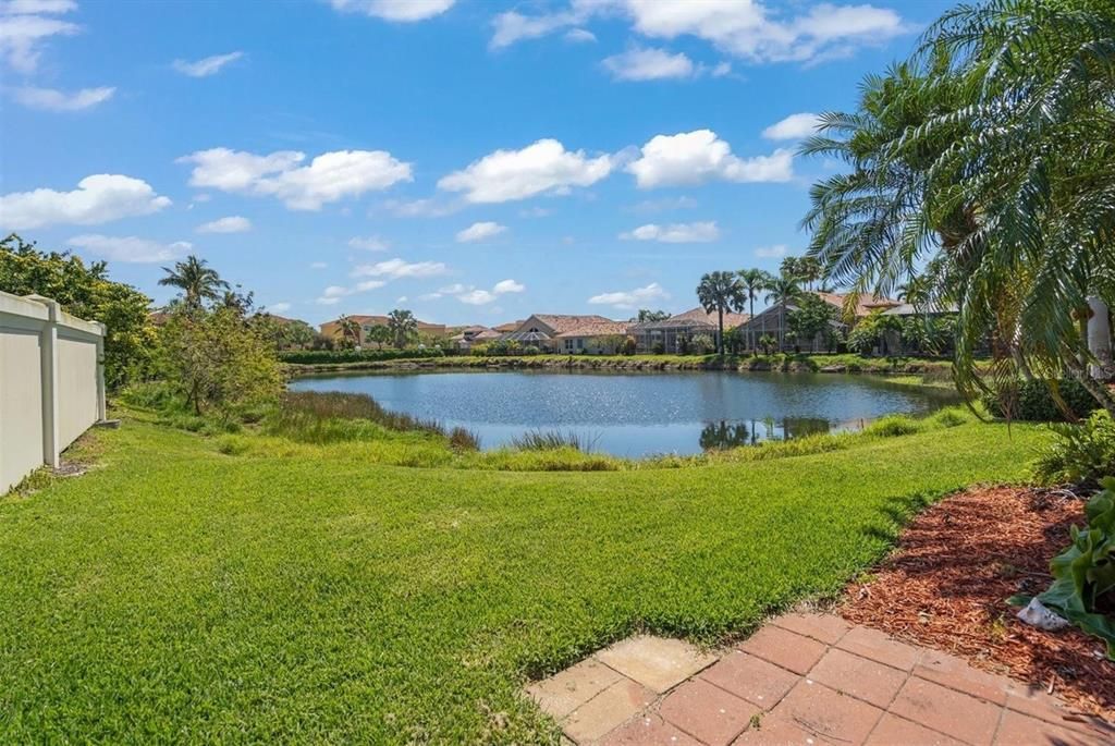 pond behind home