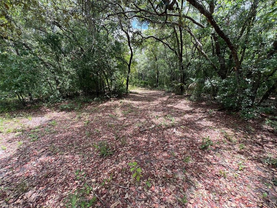 Vendido Recientemente: $48,000 (2.32 acres)