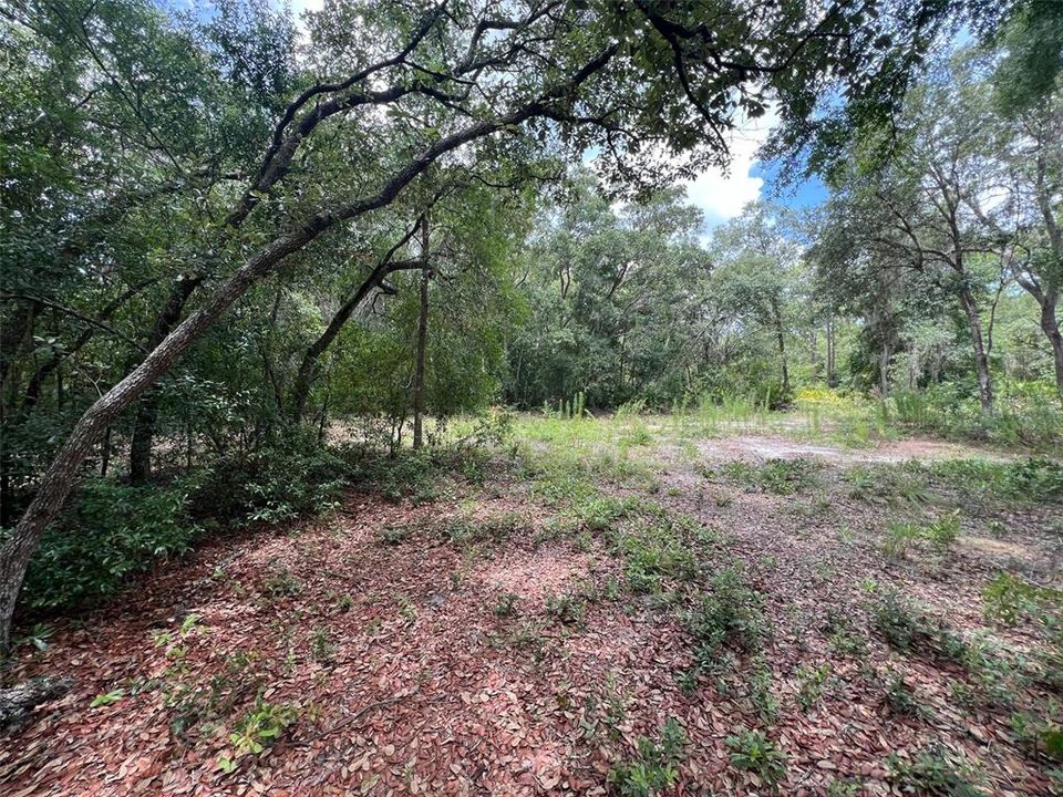 Recently Sold: $48,000 (2.32 acres)