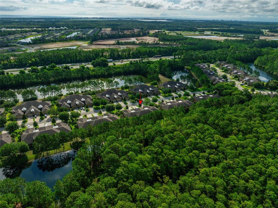 Aerial View of Community