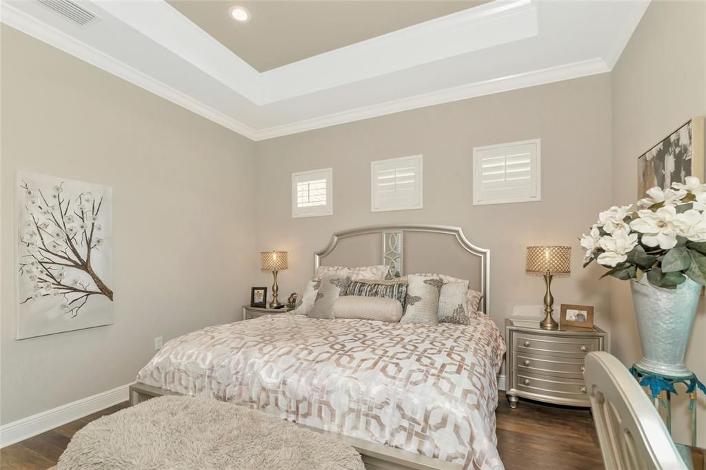 tray ceiling, crown moldings, and plantation shutters