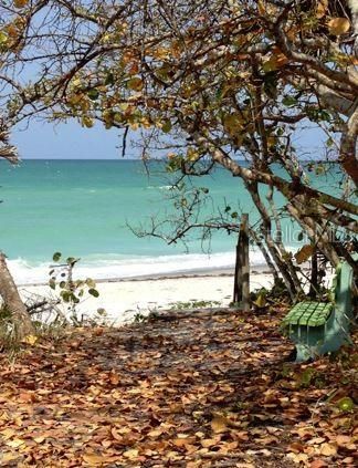 blue-green waters off Manasota Key