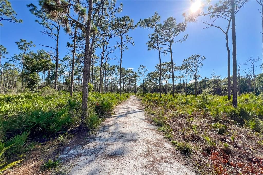 Walking trails at Johnson Preserve