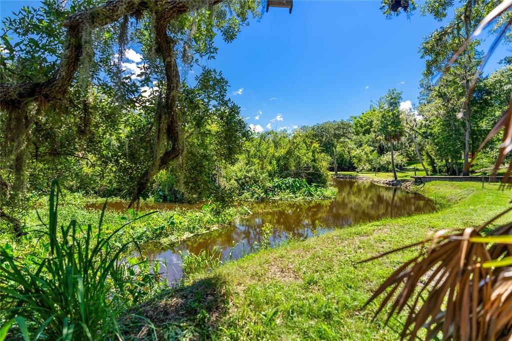 Braden River behind the home