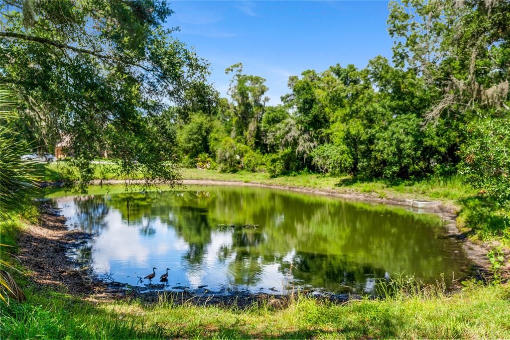 Your view when walking down to the lagoon behind the property.