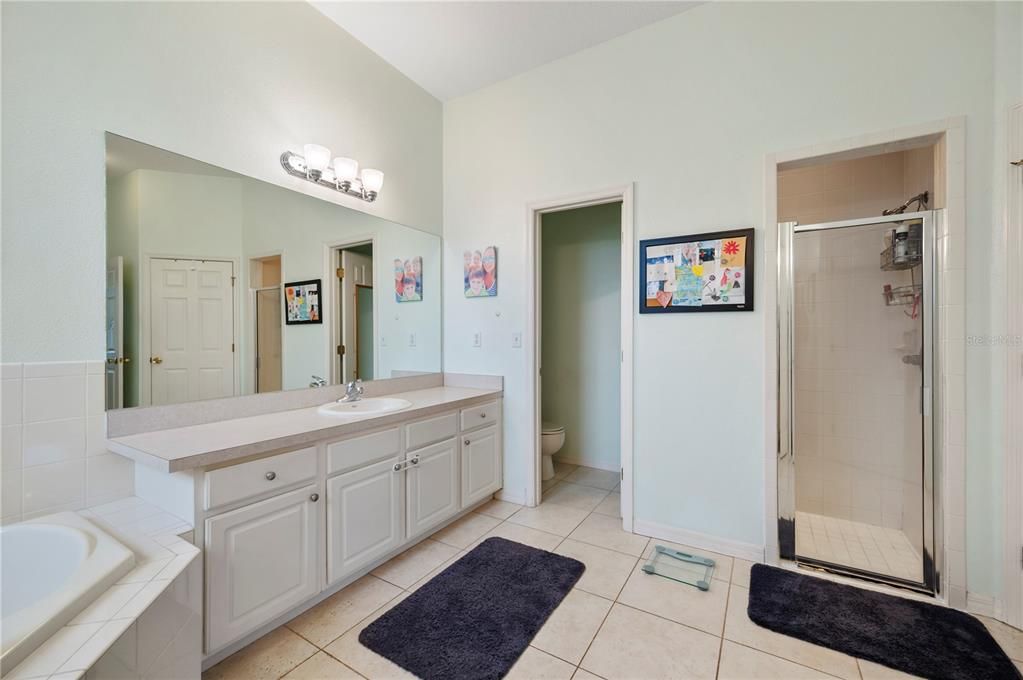 Primary Bathroom, private water closet, Lots of counter space