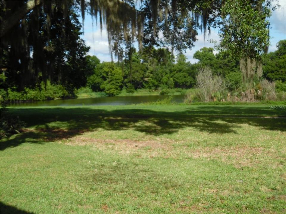 Backyard Pond View