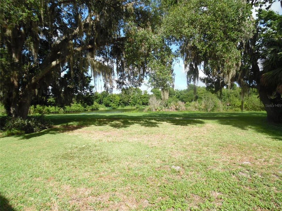 Backyard View