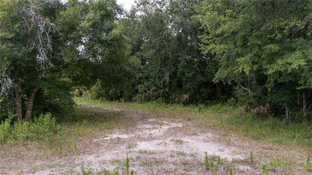 For Sale: $46,900 (1.25 acres)