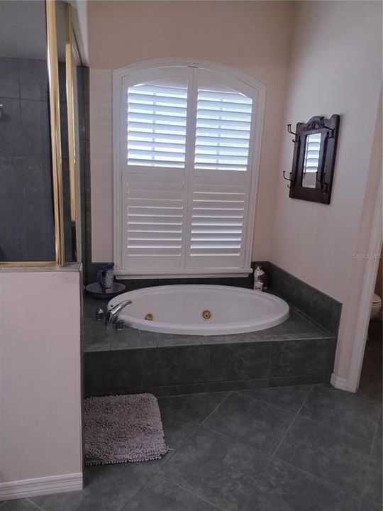 RELAX IN THE JACUZZI IN THE MASTER BATH