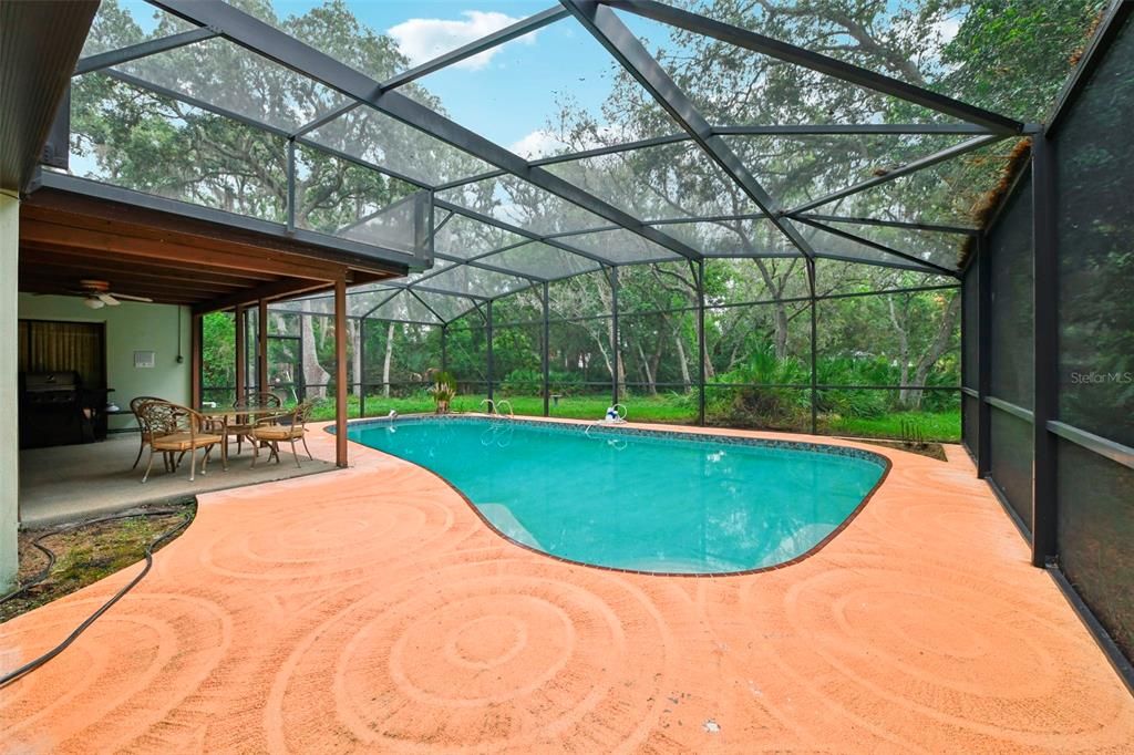 The lanai and pool are SCREENED for maximum comfort and are the perfect blank canvas for an outdoor oasis overlooking a backyard that feels private and secluded.