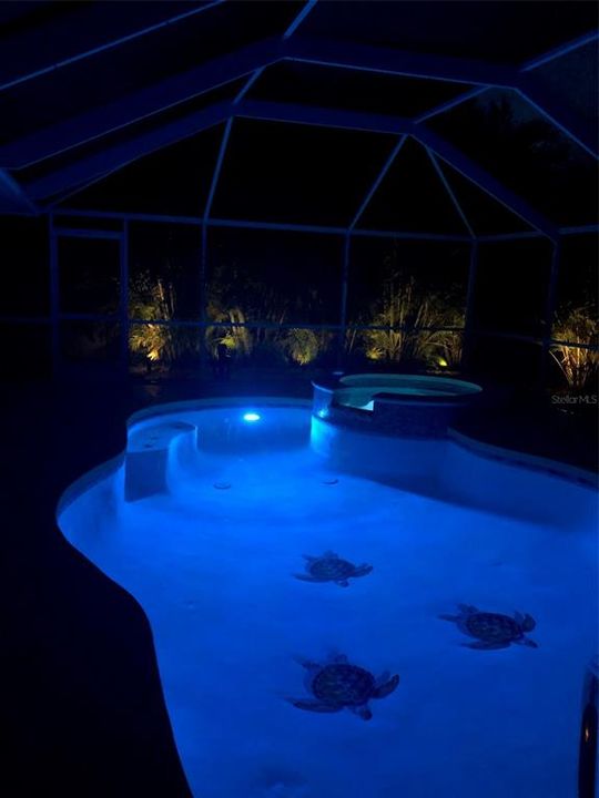 Nighttime pool and spa