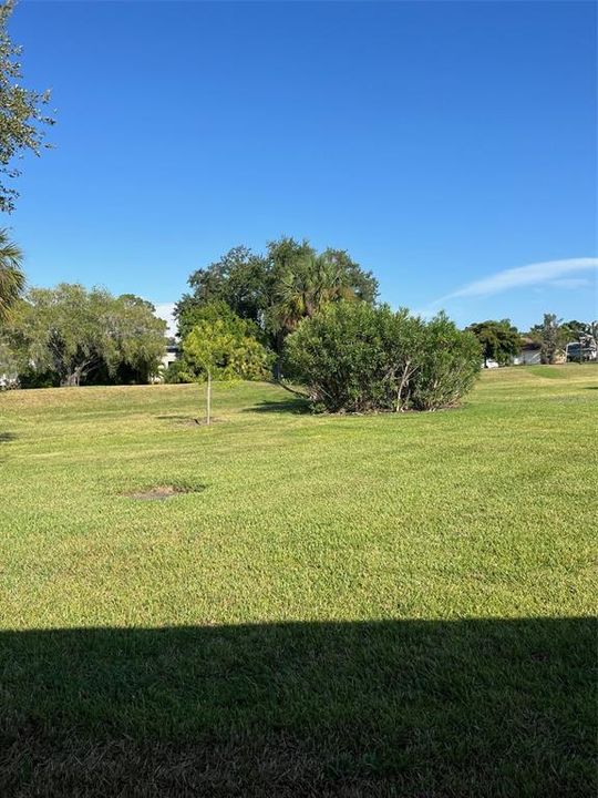 A view of the spacious back yard, great for walking your dog or just taking a stroll.