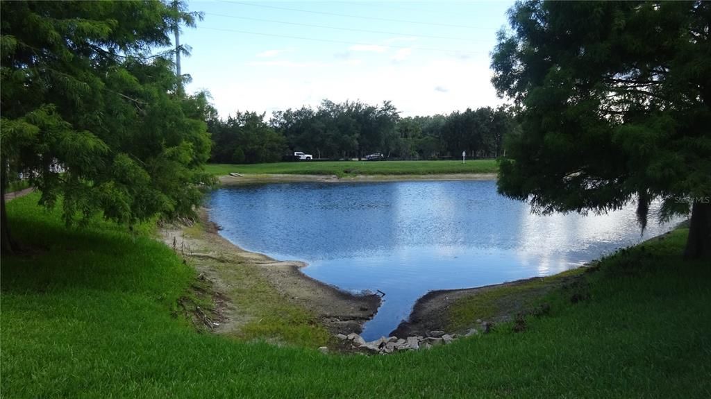 This is the view of the pond from the back of the unit.