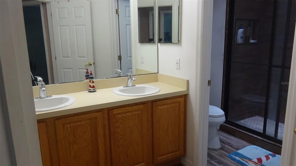 Hallway bathroom vanity and shower stall