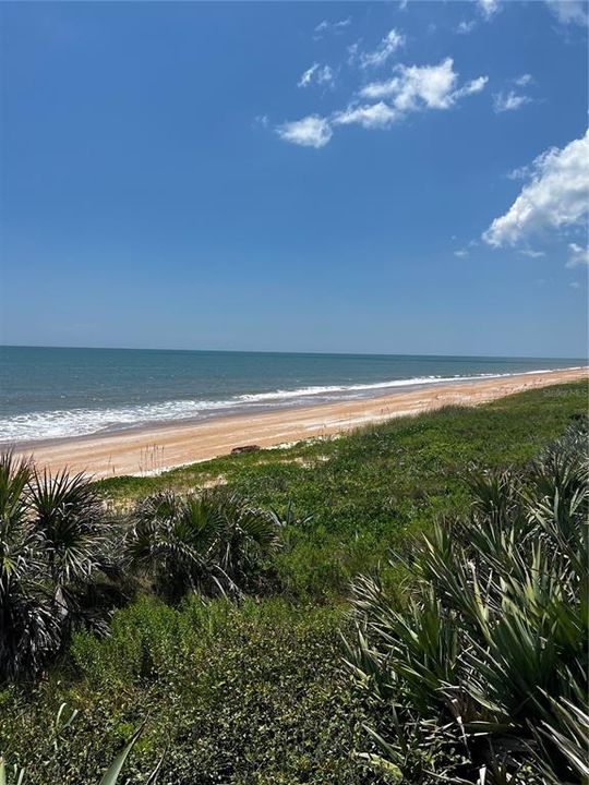 Beach Access just across A1A