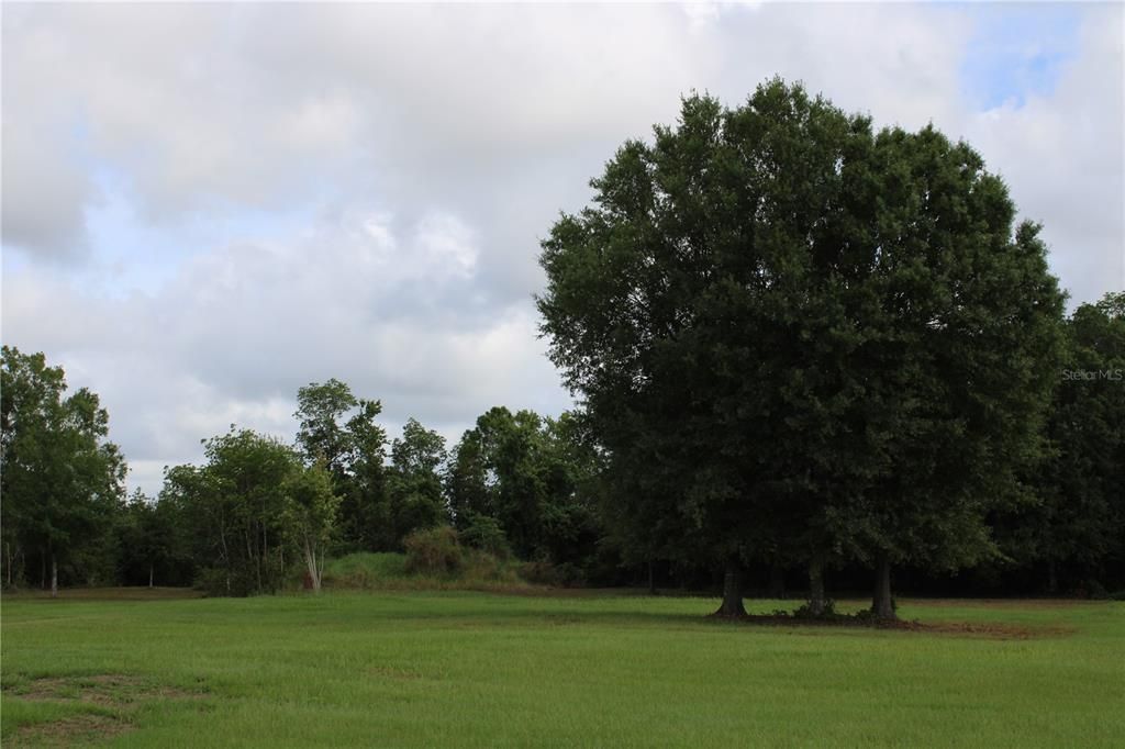 Active With Contract: $230,000 (4.12 acres)