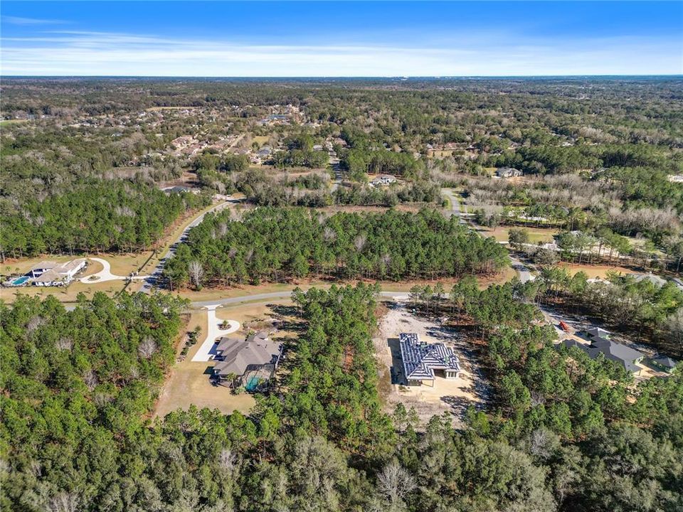 Community aerial showing privacy between homesites.