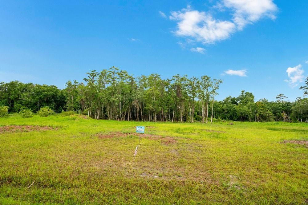 For Sale: $195,000 (2.48 acres)