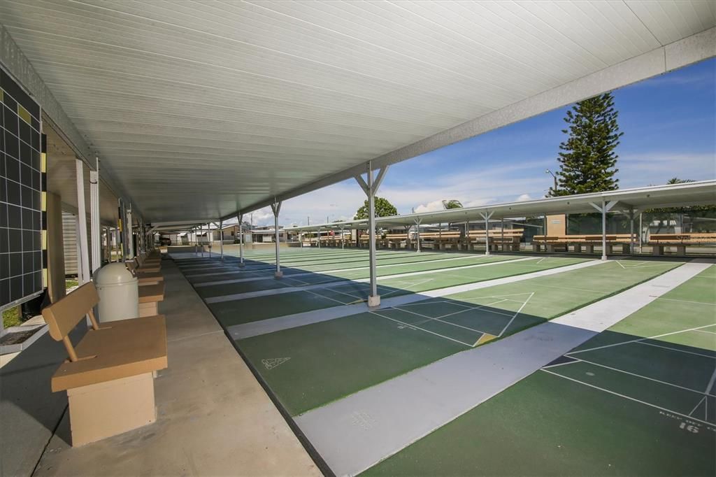 Shuffleboard Court