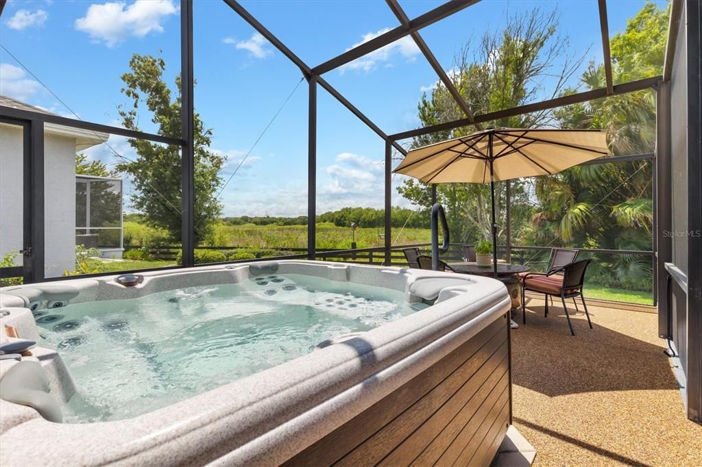 Screened outdoor spa with preserve view!