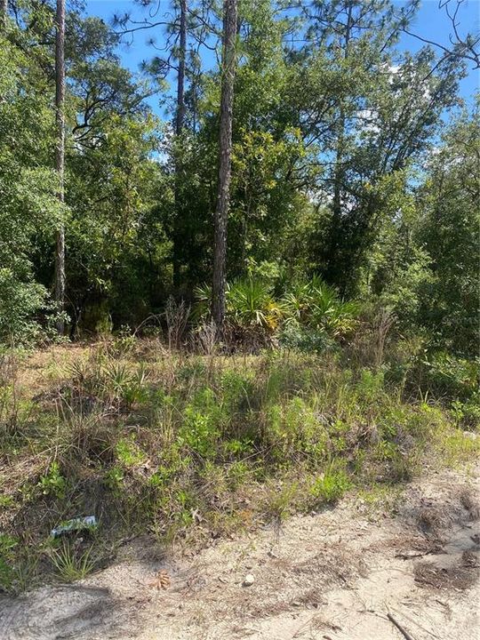 Active With Contract: $28,000 (1.25 acres)