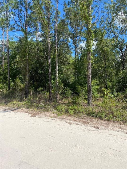 Active With Contract: $28,000 (1.25 acres)