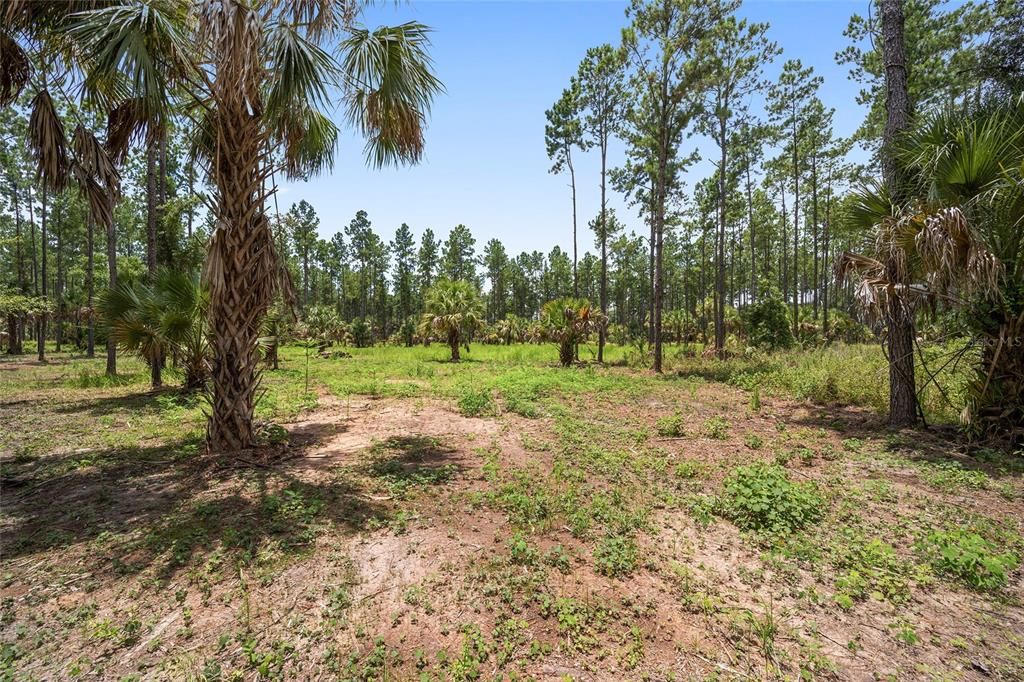 For Sale: $399,999 (19.73 acres)