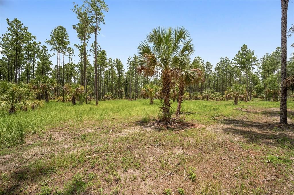 For Sale: $399,999 (19.73 acres)