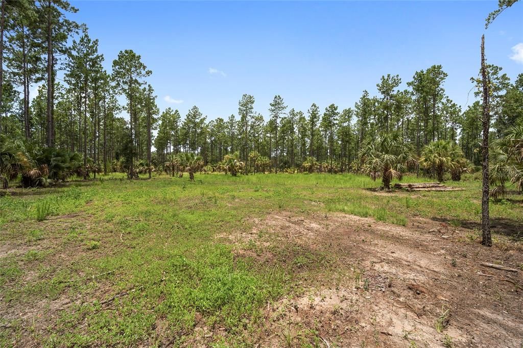 For Sale: $399,999 (19.73 acres)