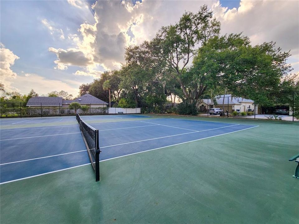 Community PickleBall Court