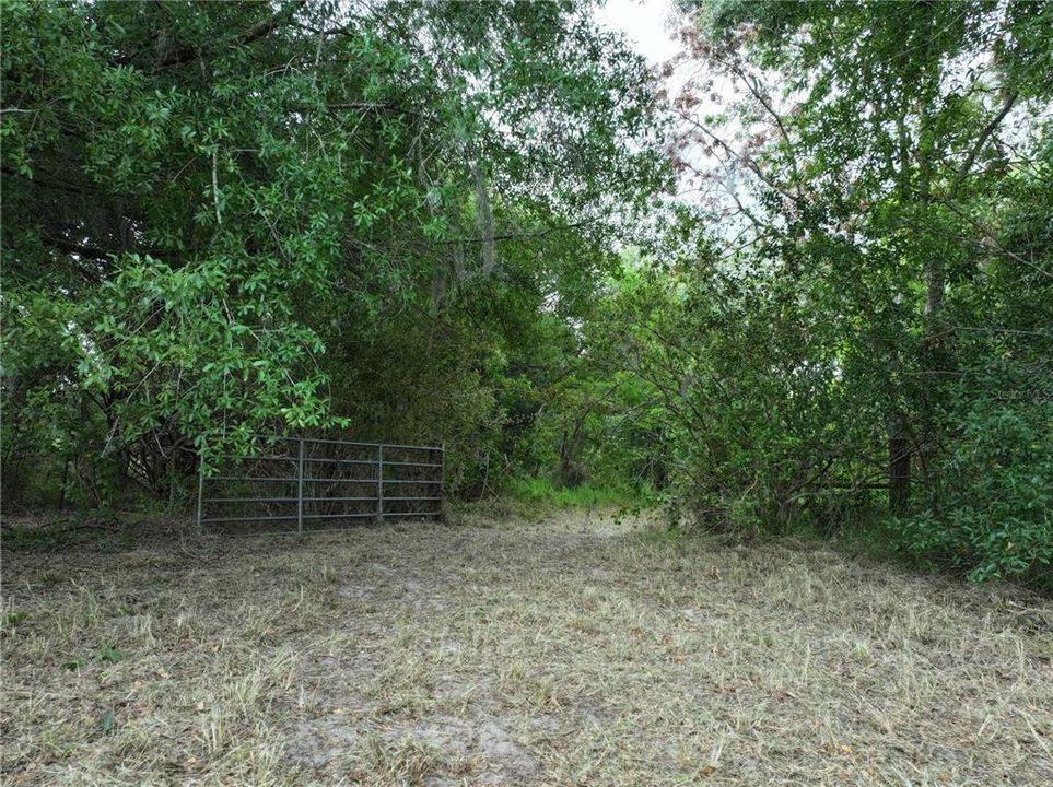 Active With Contract: $259,999 (4.46 acres)