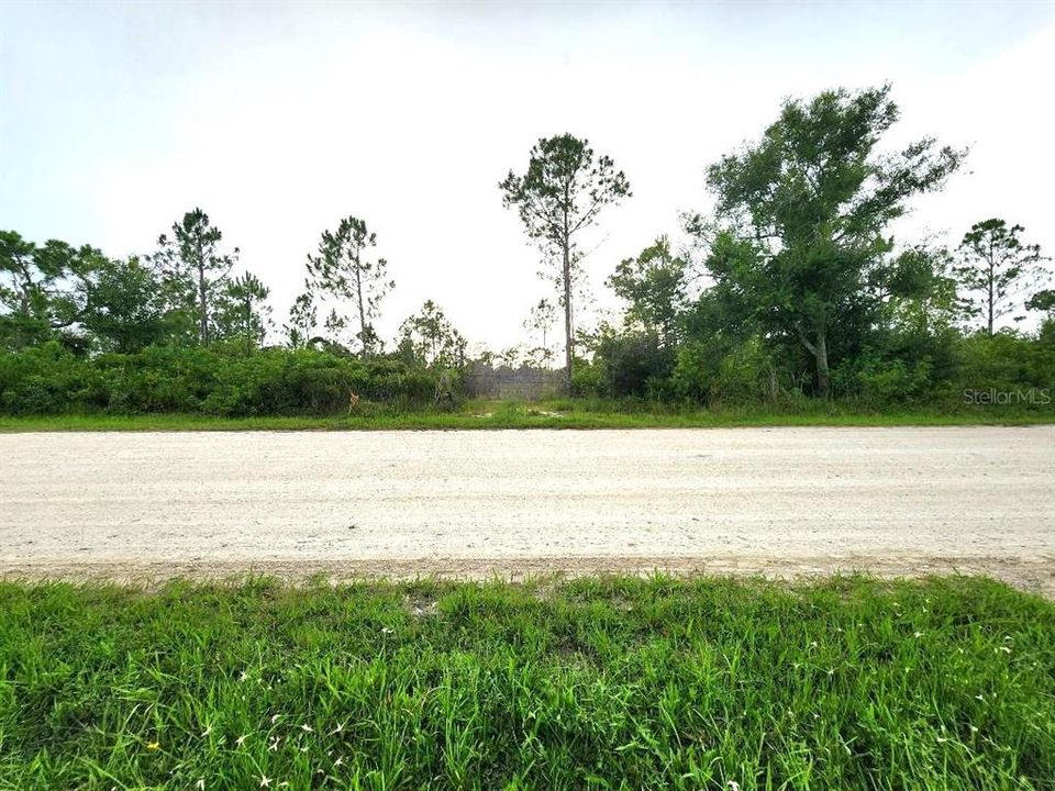 For Sale: $99,900 (1.37 acres)