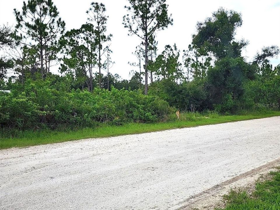 En Venta: $99,900 (1.37 acres)