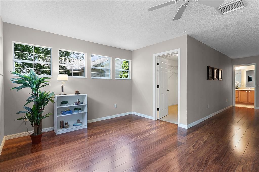 Bonus Area in Primary Bedroom and walk in closet