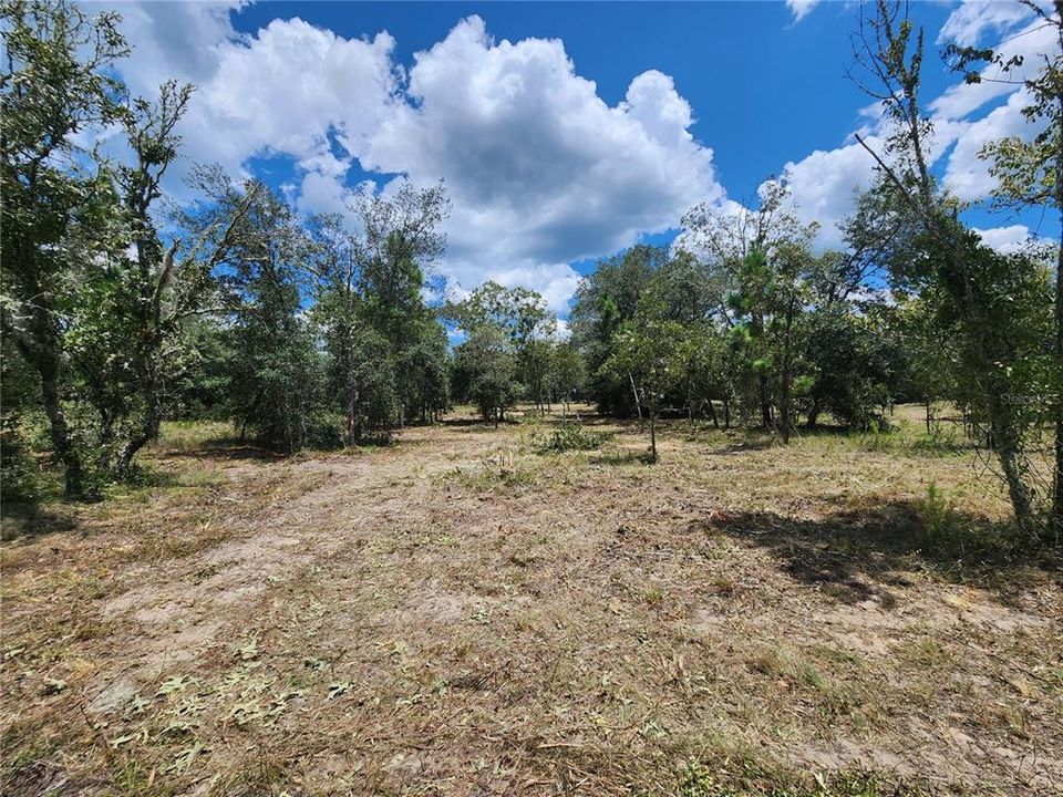 For Sale: $35,900 (1.04 acres)