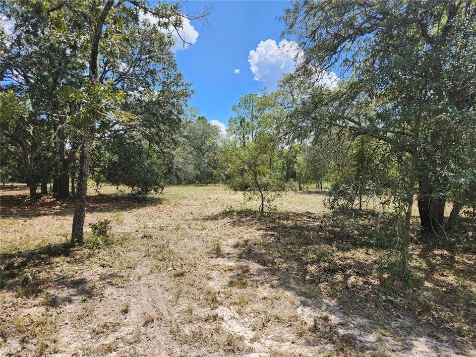 For Sale: $35,900 (1.04 acres)